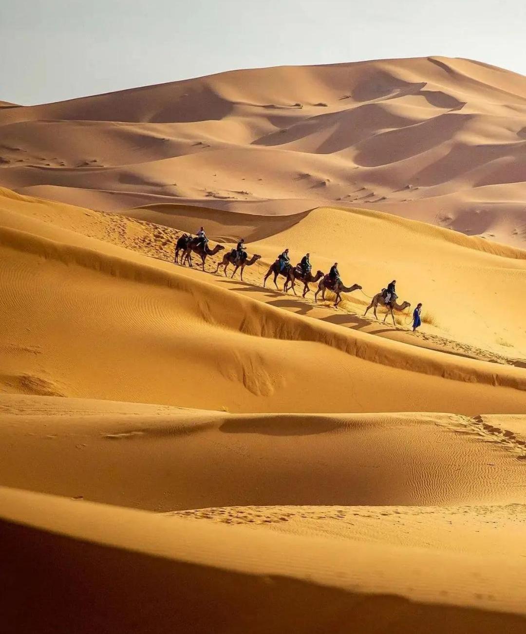 Khamlia Luxury Desert Camp Merzouga Exteriör bild